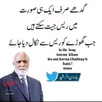 Rehmani Wajid (@wajidwajid) 's Twitter Profile
