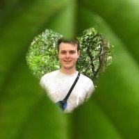 Christopher Brough (@chrisbrough13) 's Twitter Profile