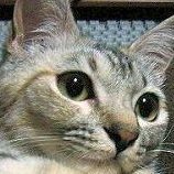 便利屋ひらりんさんのプロフィール画像