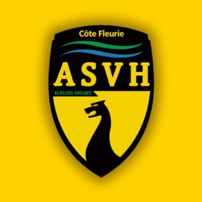 Bienvenue sur le compte Twitter officiel de l’AS Villers-Houlgate Normandie Côte Fleurie (#ASVH), évoluant en National 3 #TeamASVH💛💚