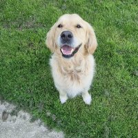 Cargo bike deliveries in Southampton & Winchester (@zedifysouth) 's Twitter Profile