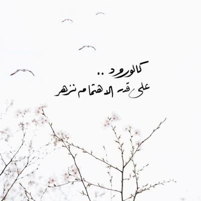 P_ameerah's profile picture. ولن تكون هنا يومها لتعرف كم كنت غريبًا قبل ذلك.. ولا كم ستصبح منفيًّا بعد الآن..