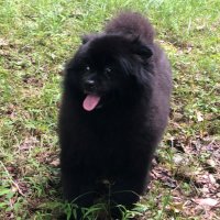 tizy (@tomotizy) Twitter profile photo