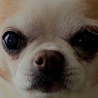 Lo (@rouncmlo) Twitter profile photo