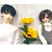 naki@休止中 (@nakinakidoll) Twitter profile photo naki@休止中 (@nakinakidoll) Twitter profile photo