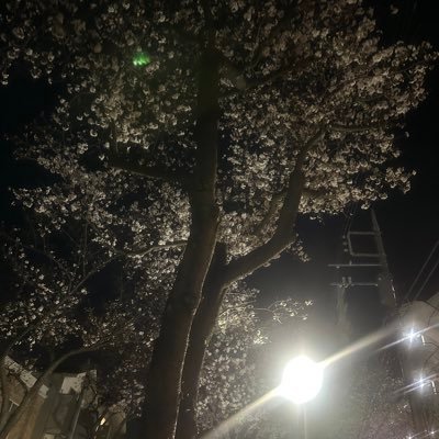 BabaRyo9's profile picture. 
