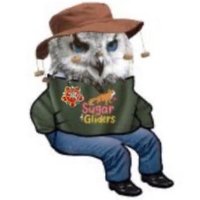 Coffee No Sugar ☕️ 🌻 (@zeitgeist8888) 's Twitter Profile Photo Coffee No Sugar ☕️ 🌻 (@zeitgeist8888) 's Twitter Profile Photo