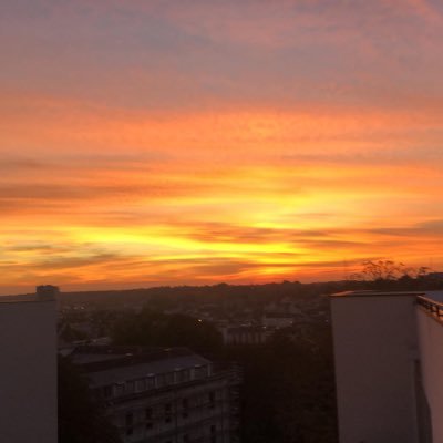 robertjtcmoi's profile picture. 