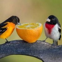Libra01966428 (@libra019664288) 's Twitter Profile Photo