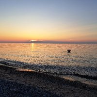 Brian Buccola 💚 (@brianbuccola) 's Twitter Profile