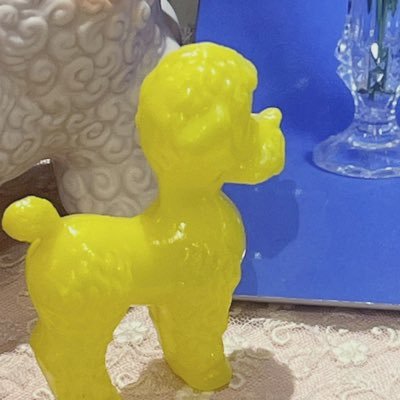 yamaapyさんのプロフィール画像