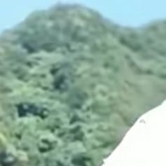 shnhi1789148669's profile picture. 