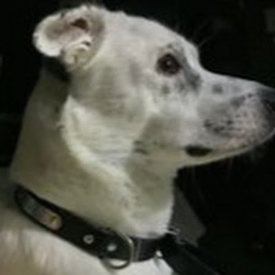 MirthPerpl88717's profile picture. 