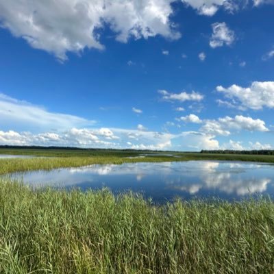 nevi36's profile picture. TRE~SIX RACING