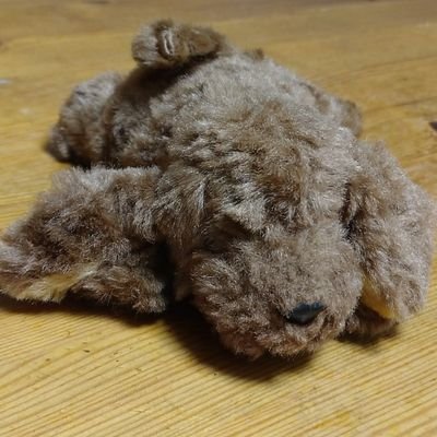 Excelの数式について書きたくてXを使うようになりました。関数型プログラミンが下手の横好きで、小さなプログラムしか書けず、モナドも型システムも理解できなかったところに突然現れたExcelのLAMBDAに引き込まれています。