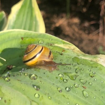 samspam033's profile picture. 