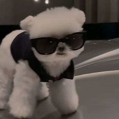 Sean8589348937's profile picture. svt & skz