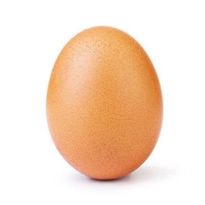yo voy antes que el huevo, la gallina, y cualquier tipo de derecho humano