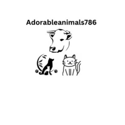 Adorablean98780 Profile Picture
