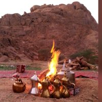 زيــد بن بخيت (@ras_kw) 's Twitter Profile