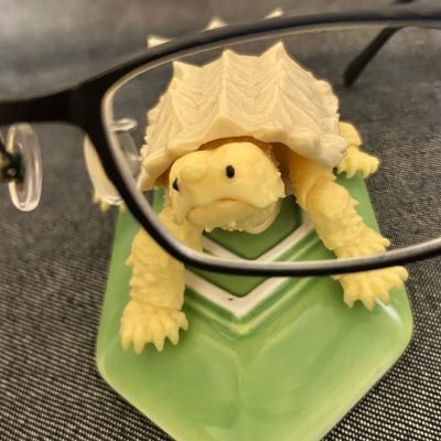 とらぱ｡､(くとうてん)さんのプロフィール画像
