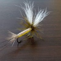 Jim D (@jdots2222) 's Twitter Profile