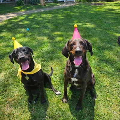 upwardscot's profile picture. Sheas my fav:D