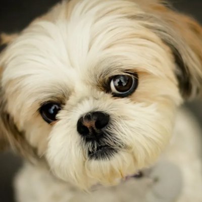 Yhang78122125's profile picture. Sweet