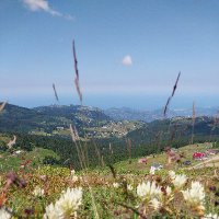 Deniz ziraat (@ziraatdeniz) 's Twitter Profile Photo Deniz ziraat (@ziraatdeniz) 's Twitter Profile Photo