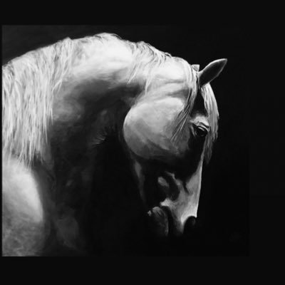 Artist/Painter of Wildlife and Equine subjects