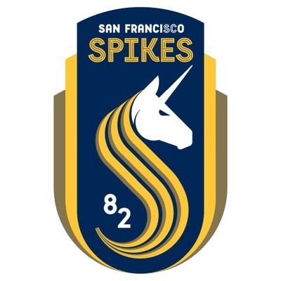 Established in 1982, San Francisco Spikes Soccer Club welcomes all genders, identities and skill-levels. Come out and join our club! info@sfspikes.com