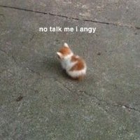 Lapak Halu (@lapakkebawelan) 's Twitter Profile