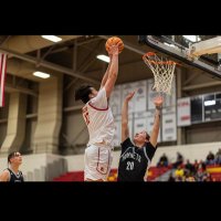 Tane Prictor (@taneprictor) 's Twitter Profile