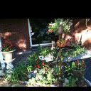 Pat colvin - @Tadcoppel - Twitter