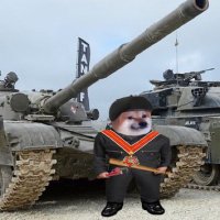 FELLA69🇫🇮🇺🇦🇬🇪 (@_raven_call_) 's Twitter Profile