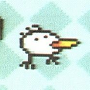 bird 2さんのプロフィール画像