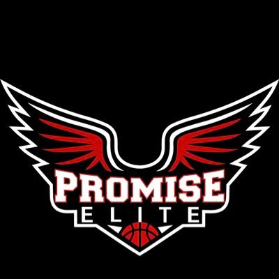 Promise_Elite Profile Picture