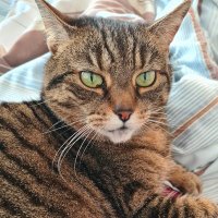 Vicky (@vicky41616963) 's Twitter Profile