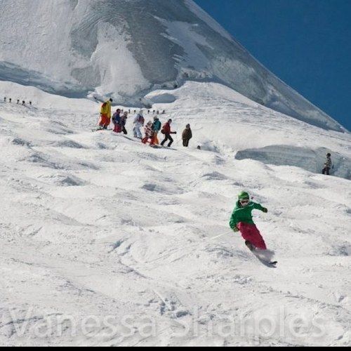 palmtreee10's profile picture. 