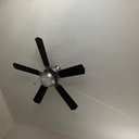 Bork🥲 - @renae_hampton - Twitter