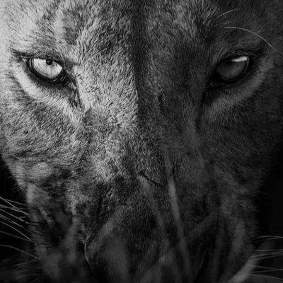 g7Dj0BidXc73851's profile picture. 个体