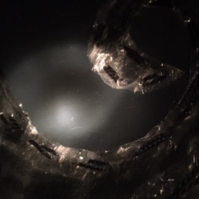 pacommix's profile picture. #photography altered #art @proofoffrench