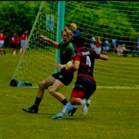 Jake Torok (@jaketorok) 's Twitter Profile