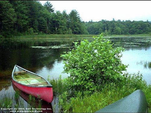 hamimazizahyaho's profile picture. 