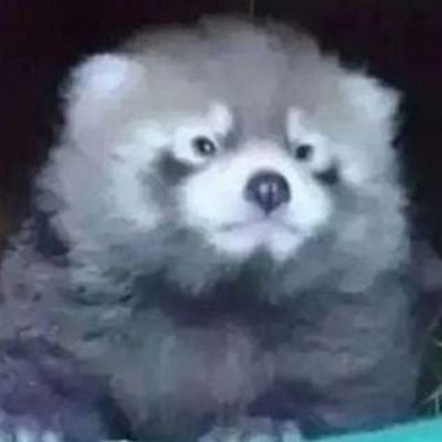 Ursafa_'s profile picture. 