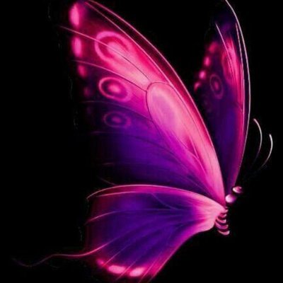 daisycu01893150's profile picture. 