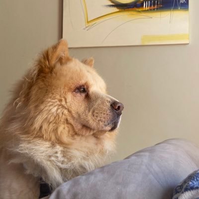 Verobarrosx's profile picture. 