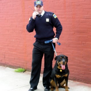 BoboSecurity's profile picture. Mel wants bobo to leave.