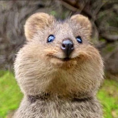 そんさんのプロフィール画像