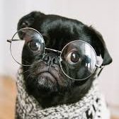 Subtly charming troublemaker. Total bacon guru. Passionate problem solver. Freelance food aficionado.